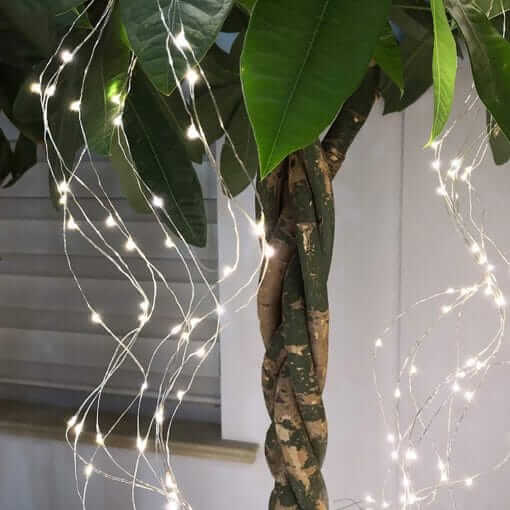 Fairy Branch Lights