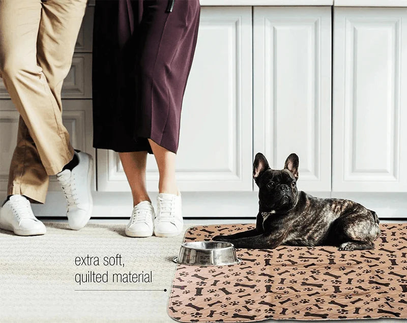 Herbruikbare honden plasmat