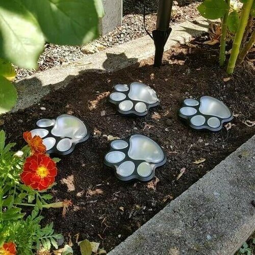 Paw Print Lampjes op zonne-energie Belleza