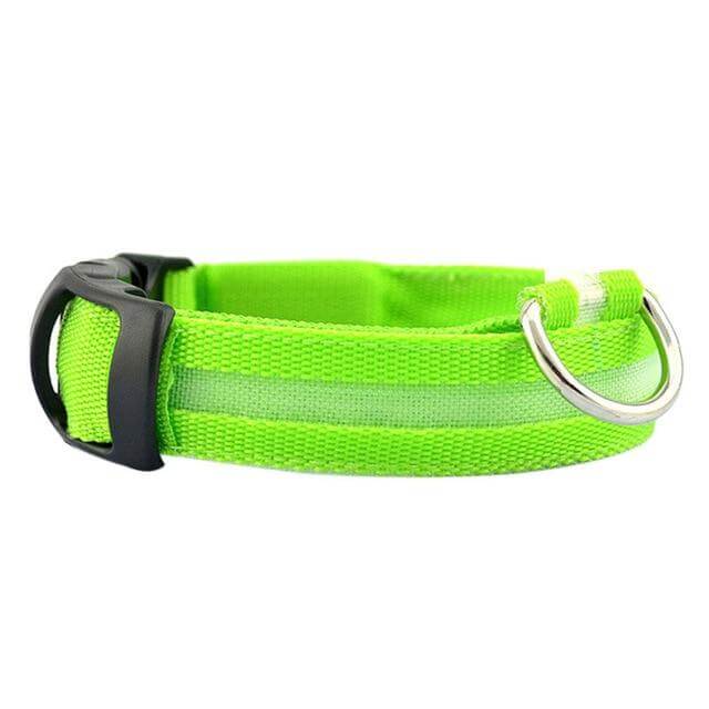 LED Halsband