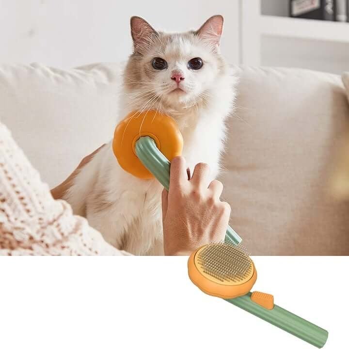 Pompoen Pet Borstel
