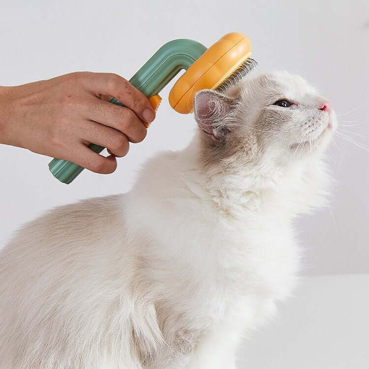 Pompoen Pet Borstel