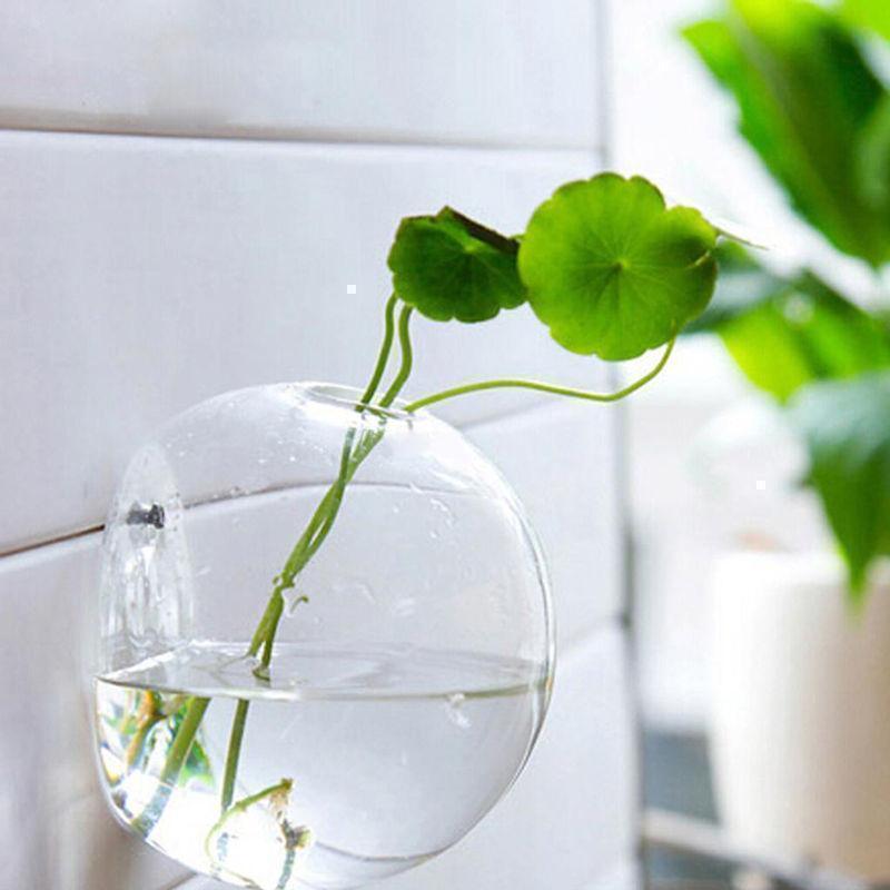 Wallquarium