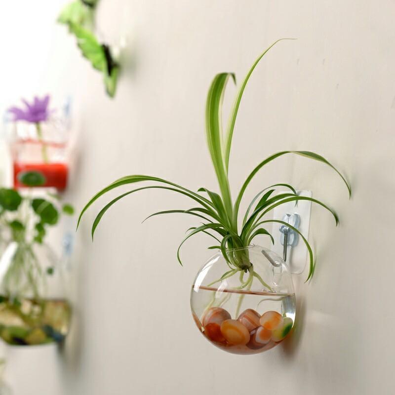 Wallquarium