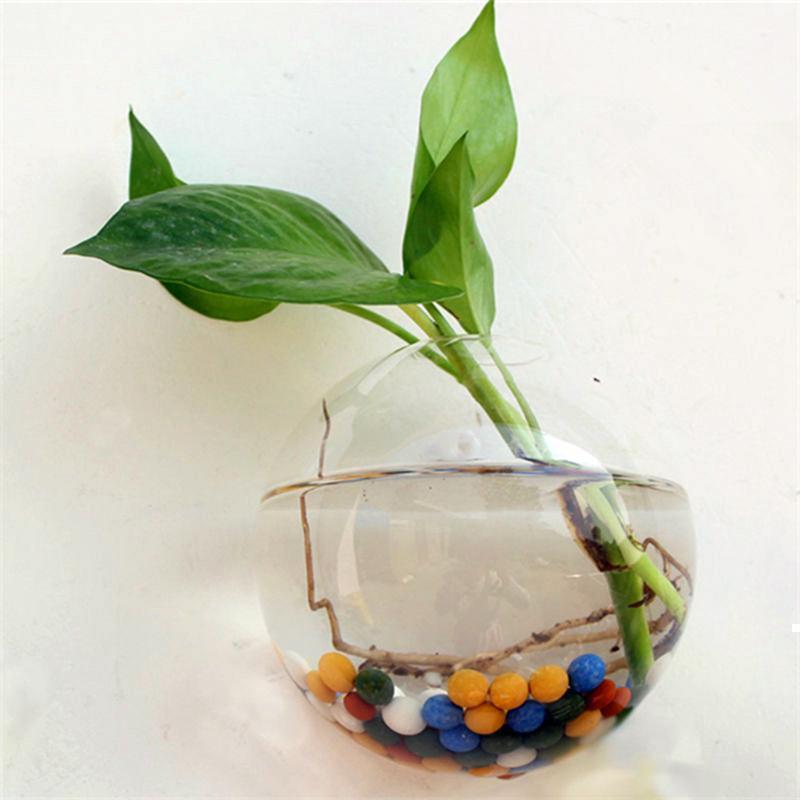 Wallquarium
