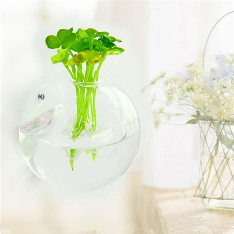 Wallquarium